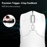 Delux M800 PRO Wireless Ergonomic Gaming Mouse