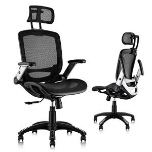 Ergonomic Mesh Office Chair with Adjustable Headrest