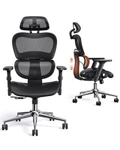 ErGear Ergonomic Mesh Desk Chair with Lumbar Support
