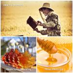 Honey Refractometer: 58-90% Moisture Tester