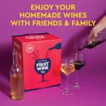 Facile Kit Vino alla Frutta per Principianti