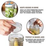 Masontops Pickle Pebble Fermentation Weights Set