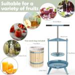 Vintage 18L Fruit Wine Press with Wooden Frame
