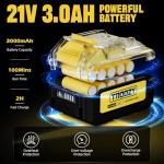 Cordless 2-IN-1 Pole Saw & Mini Chainsaw