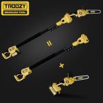 Cordless 2-IN-1 Pole Saw & Mini Chainsaw