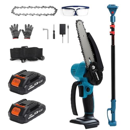 Cordless 2-in-1 Pole Saw & Mini Chainsaw