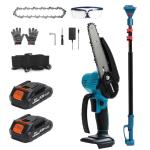 Cordless 2-in-1 Pole Saw & Mini Chainsaw