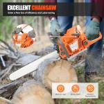 FIPINIXK 71.8CC Gas Chainsaw with Accessories