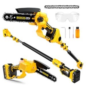 Cordless 2-IN-1 Pole Saw & Chainsaw Combo