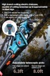 Cordless 2-in-1 Pole Saw & Mini Chainsaw