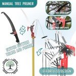 LETYANGER Extendable Pole Saw for Tree Trimming