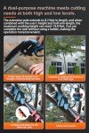 Cordless 2-in-1 Pole Saw & Mini Chainsaw