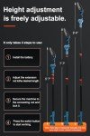 Cordless 2-in-1 Pole Saw & Mini Chainsaw