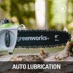 Greenworks 40V 8" Pole Saw & Hedge Combo