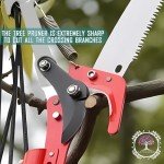 LETYANGER Extendable Pole Saw for Tree Trimming