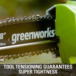 Greenworks 40V 8" Pole Saw & Hedge Combo