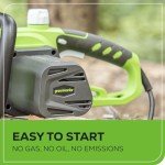 Greenworks 14.5 Amp 18" Electric Chainsaw, Model 20332
