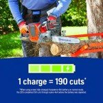 Husqvarna 225i 40V 14" Cordless Chainsaw