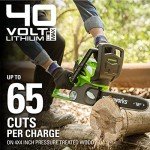 Greenworks 40V 12" Cordless Compact Chainsaw Bundle