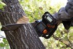WEN 16-Inch Cordless Electric Chainsaw with Battery
