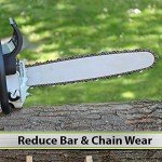 STP Premium Bar and Chain Oil, 32 Oz