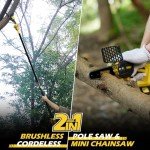 Cordless 2-IN-1 Pole Saw & Mini Chainsaw