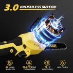 Cordless 2-IN-1 Pole Saw & Mini Chainsaw