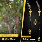 Cordless 2-IN-1 Pole Saw & Mini Chainsaw