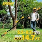 Cordless 2-in-1 8" Pole Saw & Chainsaw