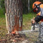 Tree Felling Wedges 4-Pack with Storage Bag
