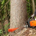 Tree Felling Wedges 4-Pack with Storage Bag