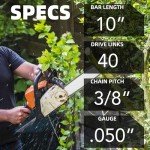 10" Chainsaw Chain & Guide Bar Set
