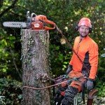 14-Inch S50 Chains for Stihl & Craftsman
