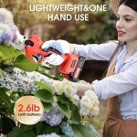 Cordless Electric Pruning Shears with Batteries & Blades