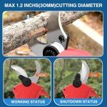 Cordless 2-in-1 Electric Pruning Shears with Pole