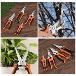 Topbooc 5-Pack Stainless Steel Garden Pruning Set
