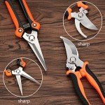 Topbooc 5-Pack Stainless Steel Garden Pruning Set