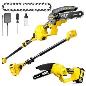 Cordless 2-in-1 Pole Saw & Mini Chainsaw