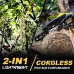 Cordless 2-in-1 Pole Saw & Mini Chainsaw