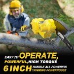 Cordless 2-in-1 Pole Saw & Mini Chainsaw