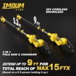 Cordless 2-in-1 Pole Saw & Mini Chainsaw