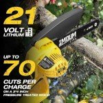Cordless 2-in-1 Pole Saw & Mini Chainsaw