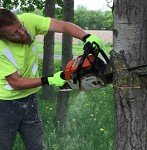 Endura® Hi-Viz Cut-Resistant Chainsaw Gloves