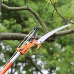VEVOR Extendable Manual Pole Saw for Tree Pruning