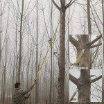 9.1m Manual Tree Pruner with Durable Handle