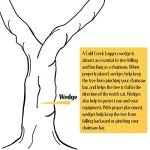 Cold Creek Logger Felling Wedges Set of 4