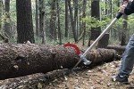 Woodchuck Timberjack and Hookeroon Set