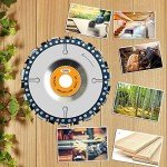 OBA Wood Carving Disc for Angle Grinder