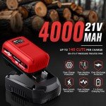 Cordless 12 Inch Electric Chainsaw with 21V Battery