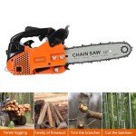 LEAQU 12-Inch Gas Chain Saw, 25.4CC Power